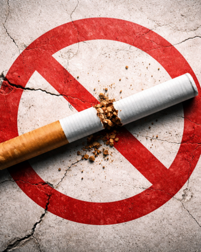 Il Blog di Beppe Grillo