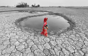 Il Blog di Beppe Grillo