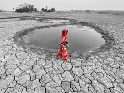 Il Blog di Beppe Grillo