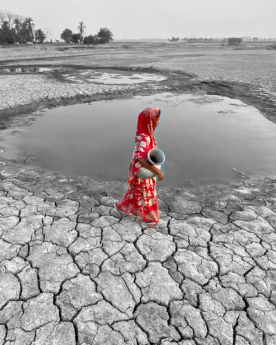 Il Blog di Beppe Grillo