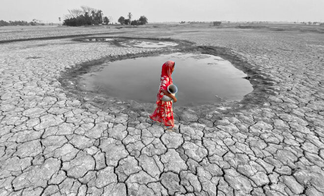 Il Blog di Beppe Grillo