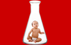 Il Blog di Beppe Grillo