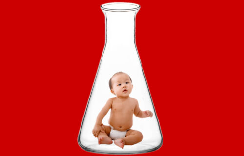 Il Blog di Beppe Grillo