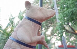 Il Blog di Beppe Grillo