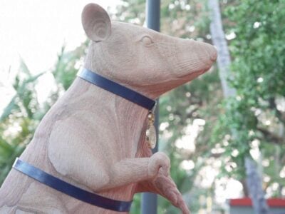 Il Blog di Beppe Grillo