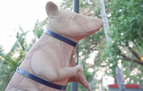 Il Blog di Beppe Grillo