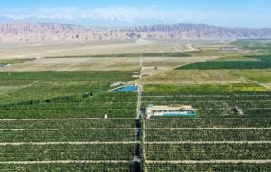 Il Blog di Beppe Grillo