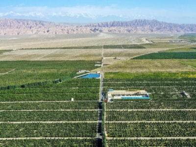 Il Blog di Beppe Grillo