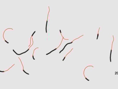 Il Blog di Beppe Grillo