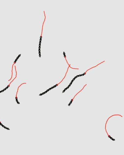 Il Blog di Beppe Grillo