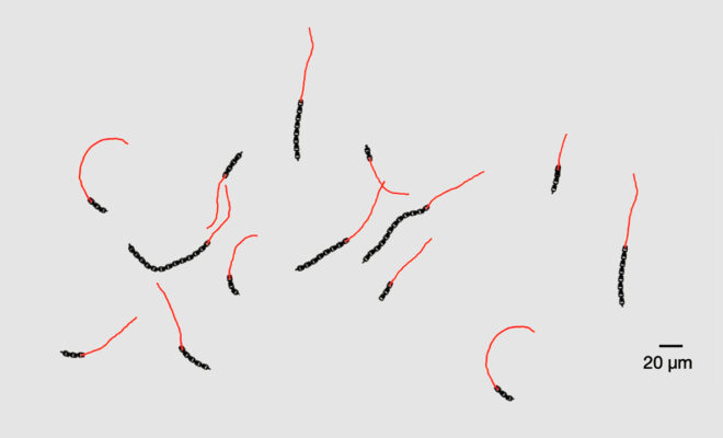 Il Blog di Beppe Grillo