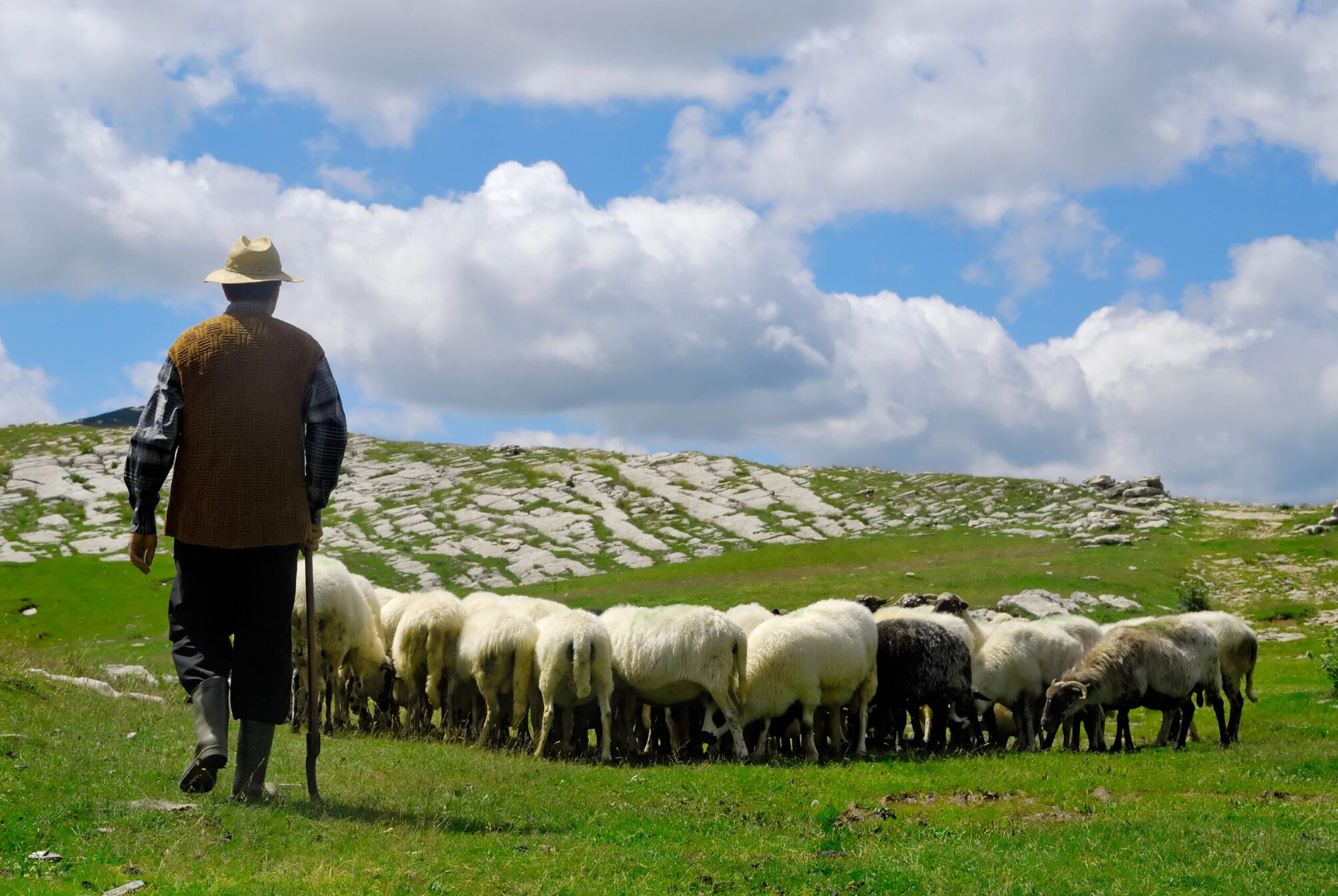 Il Blog di Beppe Grillo