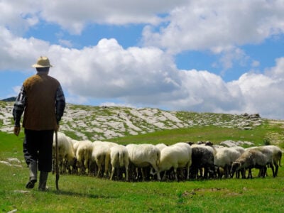 Il Blog di Beppe Grillo