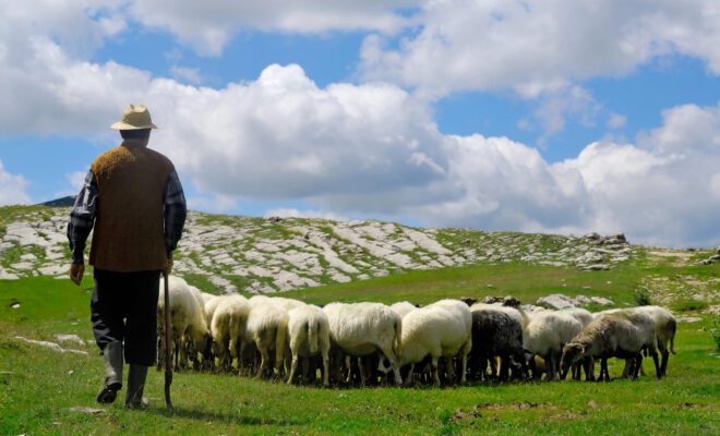 Il Blog di Beppe Grillo